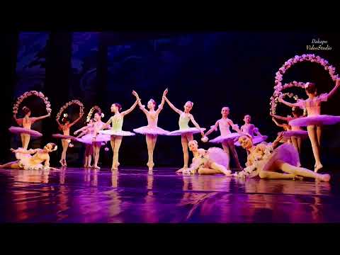 Видео: "Оживленный сад" из спектакля "Корсар"  Школа балета "Little swan"  Конкурс "BOSOНОЖКИ" Минск-2023