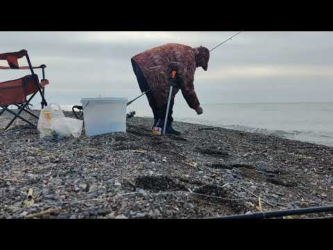 Видео: Удачная рыбалка !  Капчагай . Алматы . Насосная-5 . Шенгельды . Ветер .