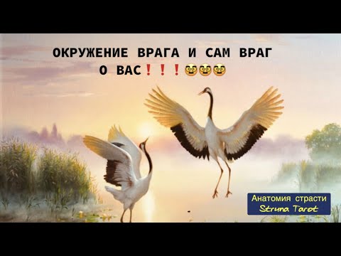 Видео: 😰😨😱ОКРУЖЕНИЕ ВРАГА И САМ ВРАГ О ВАС❗️❗️❗️😰😨😱
