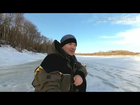 Видео: Зимняя рыбалка на Двине в Феврале (Или как мы искали окуня ). Ведущий Алексей Кожемяко, муз. Дедюля.