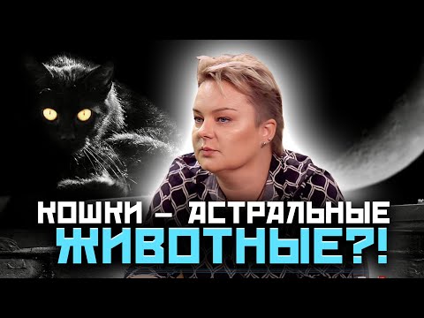 Видео: КОТЫ – ПРОВОДНИКИ В МИР МЕРТВЫХ? ПОЧЕМУ КОШКИ ЛЕЖАТ НА БОЛЬНЫХ МЕСТАХ? Анастасия Казачок