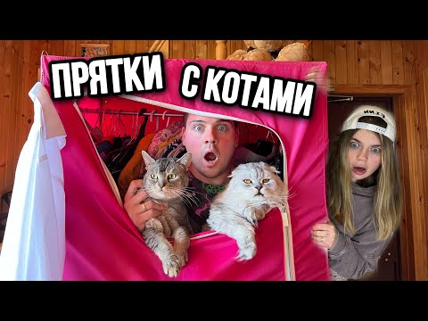 Видео: ПРЯТКИ В НАШЕМ ДОМЕ С КОТАМИ И СОБАКОЙ