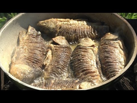 Видео: Рыбак Рыбаку 543 "Карась на болтушку".