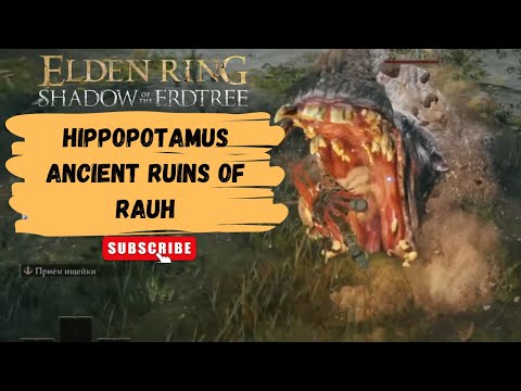 Видео: #72 Гиппопотам Руины древней обители Рауха | Hippopotamus Ancient Ruins of Rauh