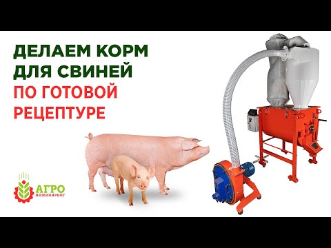 Видео: Делаем комбикорм для свиней по рецептуре. Обзор разных рецептов.