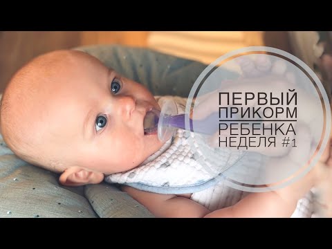 Видео: ПЕРВЫЙ ПРИКОРМ РЕБЕНКА | НЕДЕЛЯ #1 | БЕЗМОЛОЧНАЯ ГРЕЧНЕВАЯ КАША