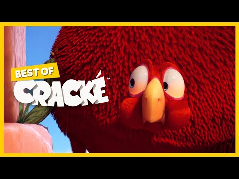 Видео: CRACKE - БОЛШАЯ ТОЛСТАЯ ПТИЦА | Cборники | Мульфильмы для детей