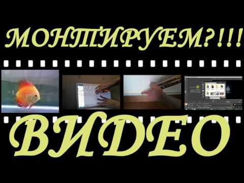 Видео: Как легко монтировать видео в редакторе Shotcut  [ урок 1_1 ]