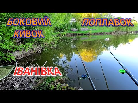 Видео: На дві вудки не встигаю! Рибалка на боковий кивок і поплавок с.  Іванівка