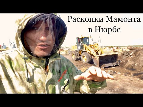 Видео: Раскопки древнего Мамонта в черте города Нюрба