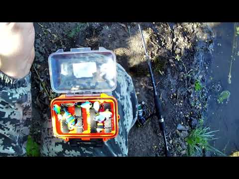 Видео: Рыбалка на поплавок и спиннинг. От ноля ушёл.