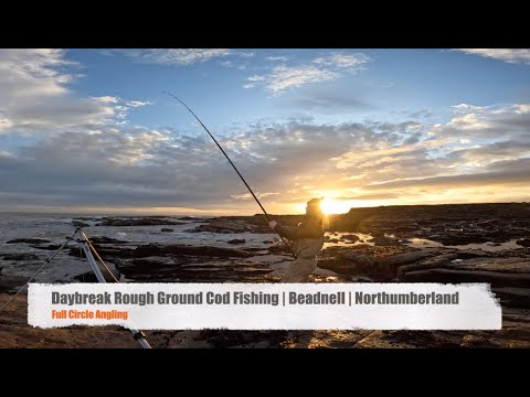 Видео: Ловля донной трески на рассвете | Биднелл | Нортумберленд