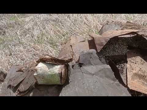 Видео: Коп металла с Quest Q20 . Прицеп загрузили под завязку.