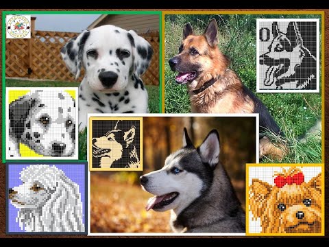 Видео: УНИВЕРСАЛЬНЫЕ СХЕМЫ ДЛЯ СПИЦ И КРЮЧКА! СОБАКИ