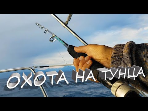 Видео: Рыбалка на тунца