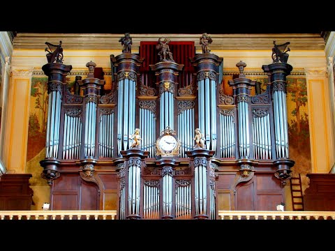 Видео: Bach. Preludes, Fugues, Toccatas & Fantasias, BWV 561-581 | Бах. Прелюдии, фуги, токкаты, фантазии