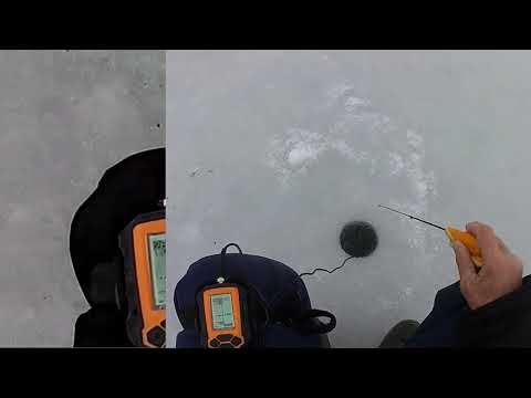 Видео: Окунь, блесна, эхолот. Как помогает Практик.