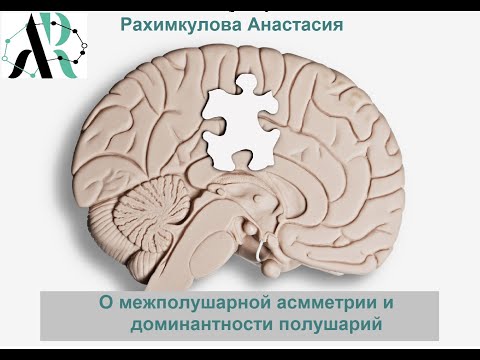Видео: О межполушарной асимметрии и доминантности полушарий