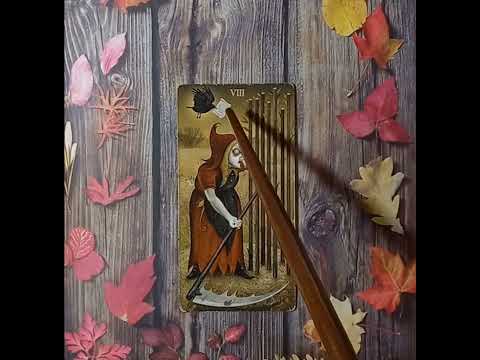 Видео: Для начинающих. Таро безумной луны. Восьмерка Жезлов
