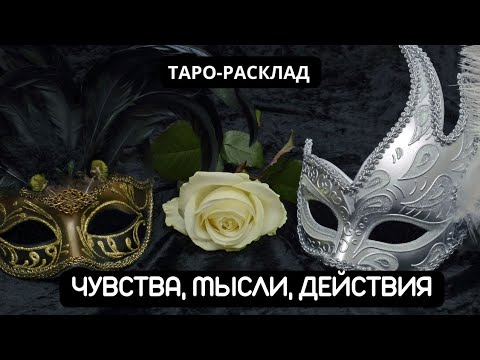 Видео: ЧУВСТВА, МЫСЛИ, ДЕЙСТВИЯ #tarot #video #tarotreading 