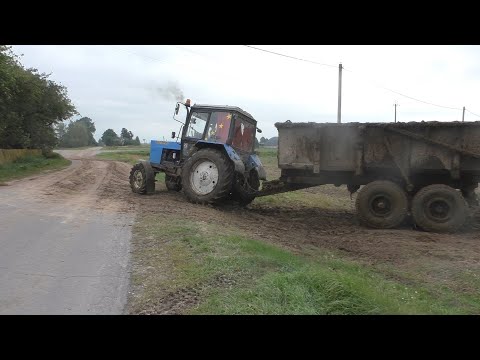 Видео: вывоз навоза на поле в ОАО Журавлином. Мокром