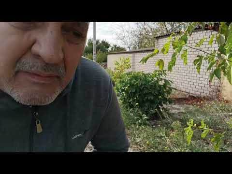 Видео: 23 октября 2025 г.