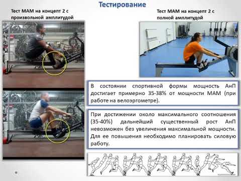 Видео: Вертышев 2019, Тема 4, Контроль