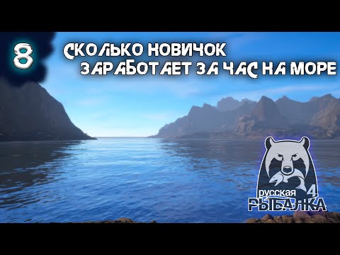 Видео: Русская рыбалка 4 - Сколько заработает новичок на море за час [#8]