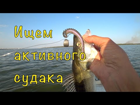 Видео: Как мы снимаем видео. Рыбалка по судаку.