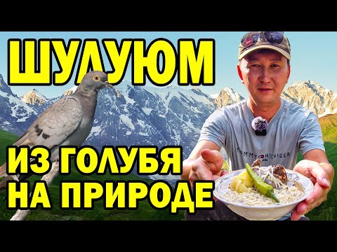 Видео: ЛЕЧЕБНЫЙ БУЛЬОН ИЗ ГОЛУБЯ. НАСТОЯЩИЙ ШУЛЮМ НА ОХОТЕ #казахстан #шурпа #сорпа #рецепт #охота #казахи