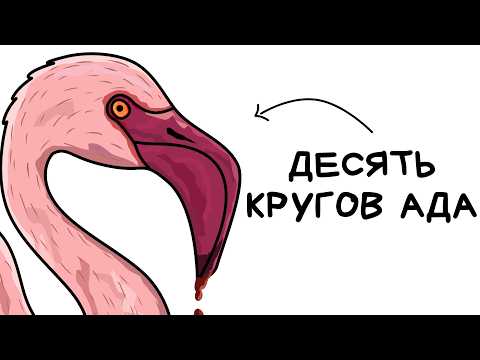 Видео: Ты - Фламинго (И ЭТО ВСЯ ТВОЯ ЖИЗНЬ)