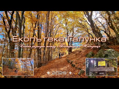 Видео: Екопътека Галунка - едно прекрасно място за разходка и отмора в полите на Витоша