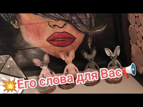 Видео: ❤️⚡🔥Его слова для Вас 📢💥#video#shorts