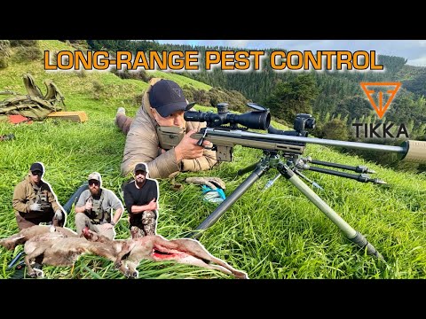 Видео: Борьба с вредителями на больших расстояниях