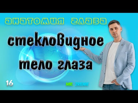Видео: Стекловидное тело глаза