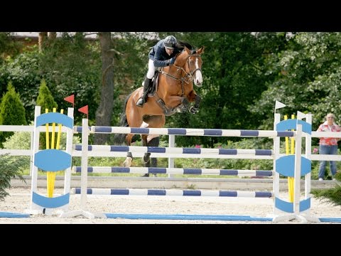 Видео: 70 см. Открытый класс. Конкур в Полтаве. КСК "Импульс". 2015 09 05