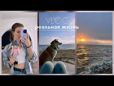 Видео: Жизнь блогера|Быт|Покупки