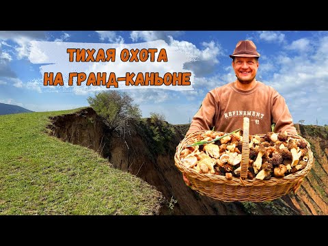 Видео: Чудо-грибы и Гранд-каньон Чарвака. Фильм 1 | Горы Узбекистана с Туризмологом