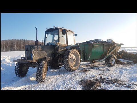 Видео: работа ФЕРМЕРА зимой.Погрузка: силоса, сенажа, навоза, опилок. 🚨 с YuoTube в Яндекс Дзен 🚨