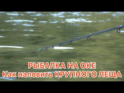 Видео: РЫБАЛКА на ОКЕ / КАК поймать МНОГО ЛЕЩА / Всю ночь КОРМИЛ утром НАЛОВИЛ