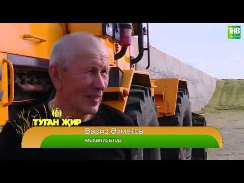 Видео: Туган җир 08/09/2023