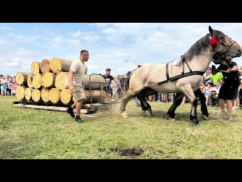 Видео: ОҐИР ФЕСТ 2025 р. Повний треш, такого ви ще не бачили🤯. День 2.Парні змагання Косів.
