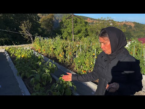 Видео: Плоды природного земледелия в Грузинском исихастирии