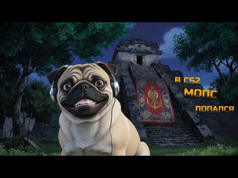 Видео: ПОПАЛСЯ МОПС В CS2 | СМЕШНЫЕ МОМЕНТЫ