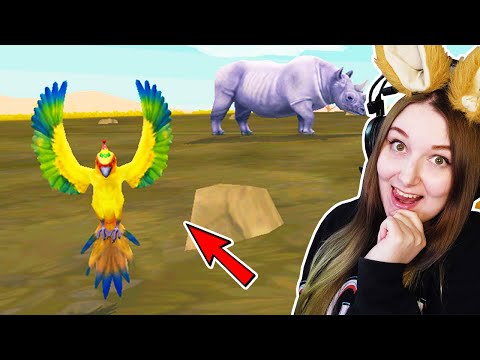 Видео: ОТКРЫЛА ПИТОМЦА ПОПУГАЯ В ИГРЕ НА ТЕЛЕФОН WILD CRAFT