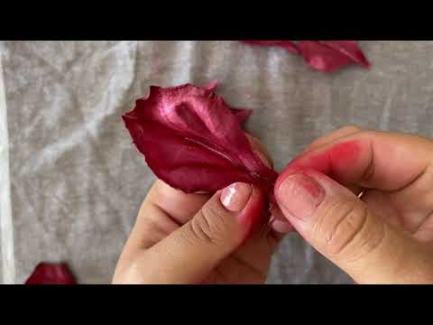 Видео: Гладиолусы из фоамирана