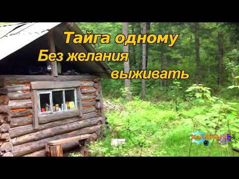 Видео: Один без желания  выживать | Тайга одному