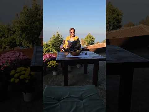 Видео: 9. Законът на служенето