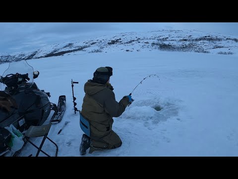 Видео: ЗИМНЯЯ МОРСКАЯ РЫБАЛКА / УДОЧКИ ГНУЛО / ЛЕСКА ТРЕЩАЛА / WINTER SEA FISHING