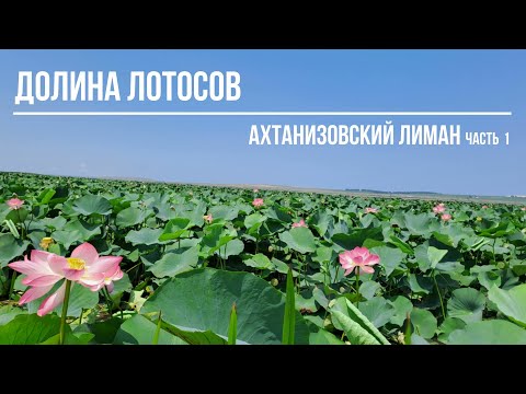Видео: Долина Лотосов-экскурсия часть1